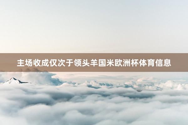 主场收成仅次于领头羊国米欧洲杯体育信息