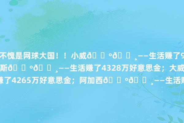 不愧是网球大国！！小威🇺🇸——生活赚了9482万好意思金；桑普拉斯🇺🇸——生活赚了4328万好意思金；大威🇺🇸——生活赚了4265万好意思金；阿加西🇺🇸——生活赚了3115万好意思金；伊斯内尔🇺🇸——生活赚了2243万好意思金；达文波特🇺🇸——生活赚了2205万好意思金；纳芙拉蒂洛娃🇺🇸——生活赚了2163万好意思金；高芙🇺🇸——生活赚了2158万好意思金；伦德尔🇺🇸——生活赚了2162万好意思金