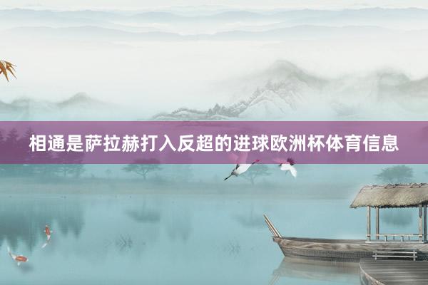 相通是萨拉赫打入反超的进球欧洲杯体育信息
