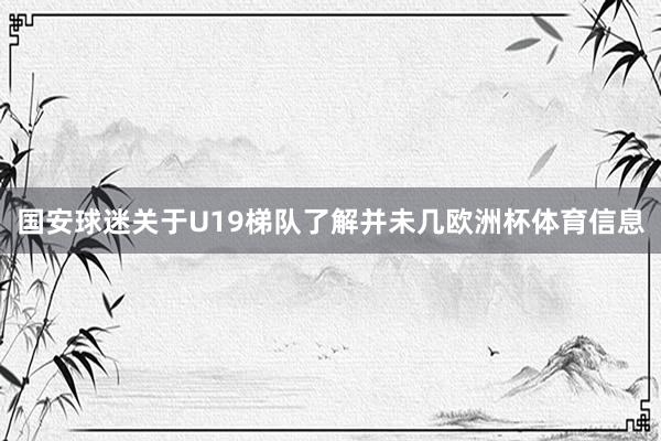 国安球迷关于U19梯队了解并未几欧洲杯体育信息