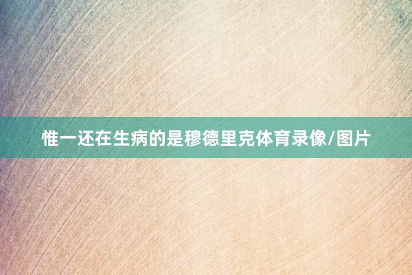 惟一还在生病的是穆德里克体育录像/图片