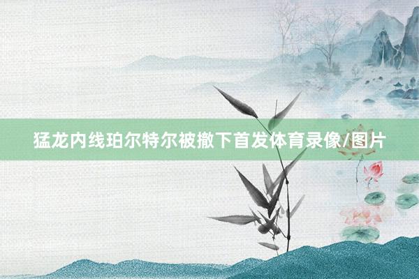 猛龙内线珀尔特尔被撤下首发体育录像/图片