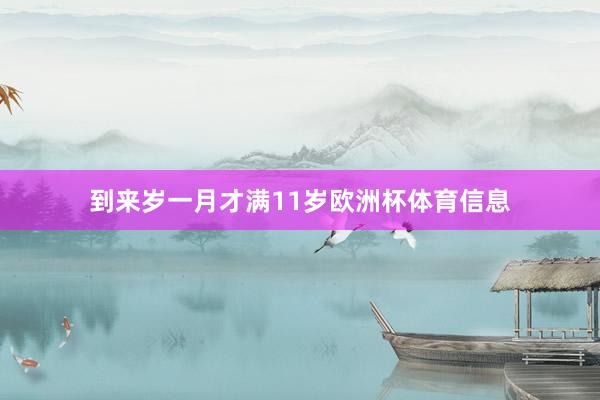 到来岁一月才满11岁欧洲杯体育信息