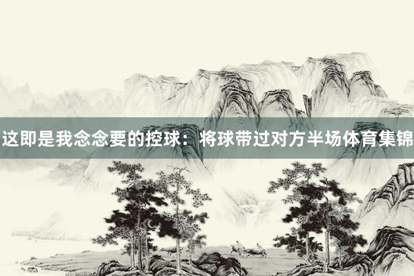 这即是我念念要的控球：将球带过对方半场体育集锦