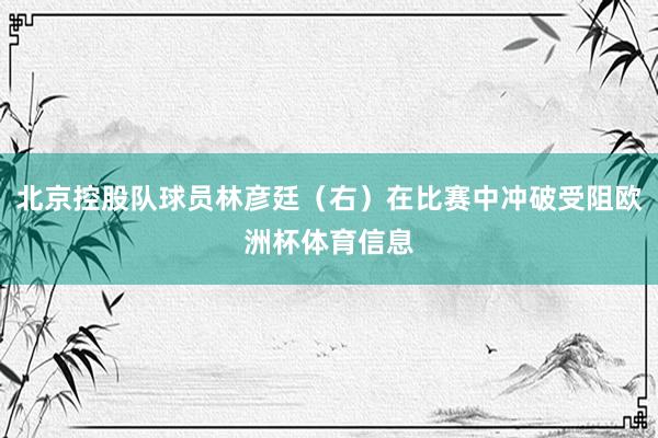 北京控股队球员林彦廷（右）在比赛中冲破受阻欧洲杯体育信息