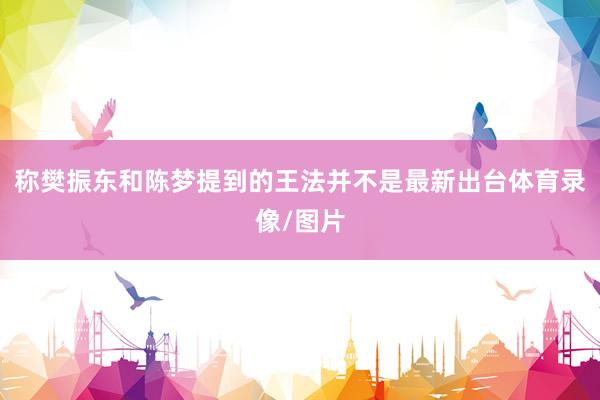 称樊振东和陈梦提到的王法并不是最新出台体育录像/图片