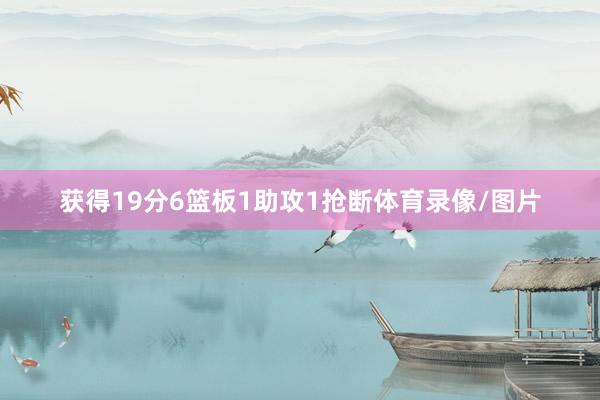 获得19分6篮板1助攻1抢断体育录像/图片
