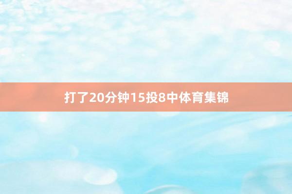 打了20分钟15投8中体育集锦