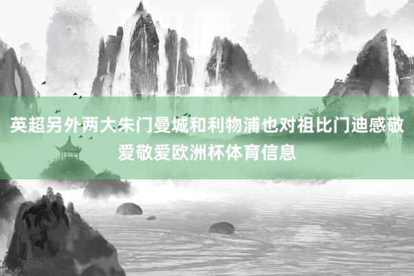 英超另外两大朱门曼城和利物浦也对祖比门迪感敬爱敬爱欧洲杯体育信息
