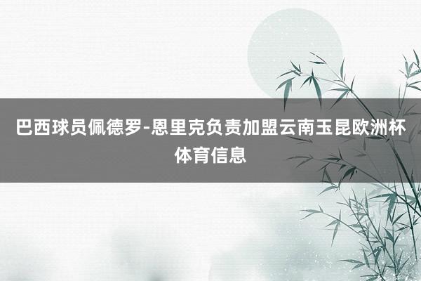 巴西球员佩德罗-恩里克负责加盟云南玉昆欧洲杯体育信息