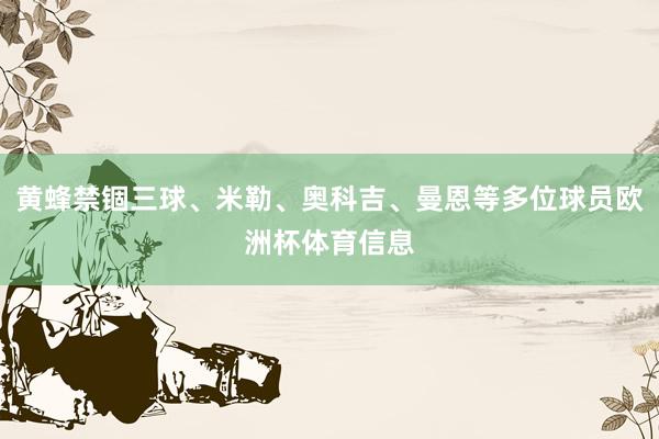 黄蜂禁锢三球、米勒、奥科吉、曼恩等多位球员欧洲杯体育信息