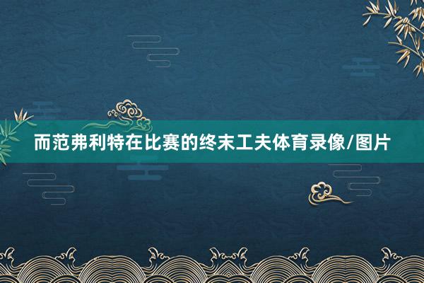 而范弗利特在比赛的终末工夫体育录像/图片