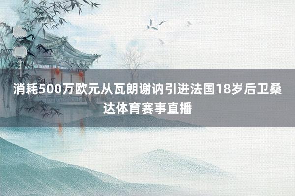 消耗500万欧元从瓦朗谢讷引进法国18岁后卫桑达体育赛事直播