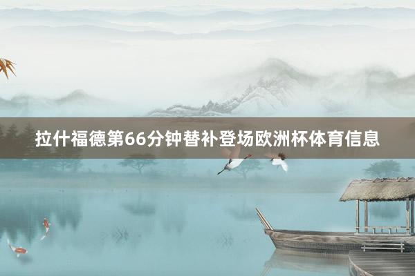 拉什福德第66分钟替补登场欧洲杯体育信息