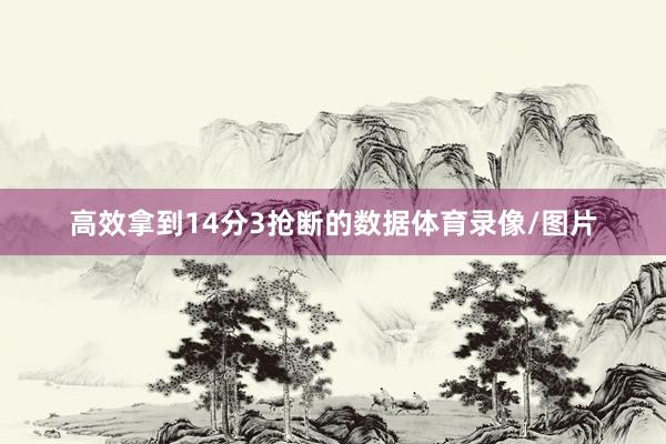 高效拿到14分3抢断的数据体育录像/图片