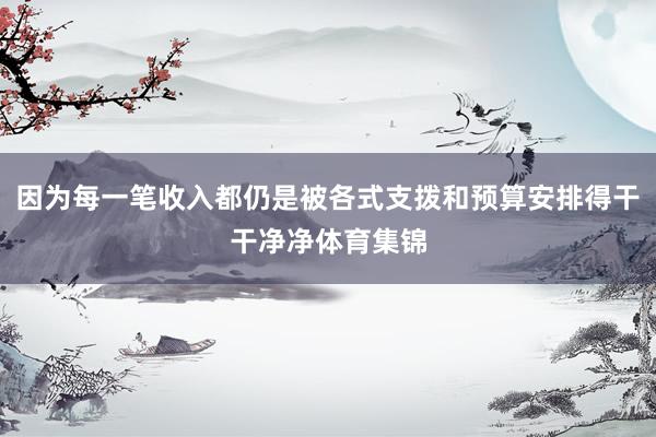 因为每一笔收入都仍是被各式支拨和预算安排得干干净净体育集锦