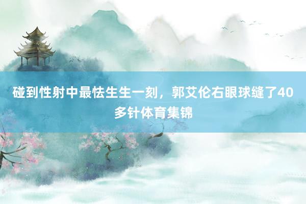 碰到性射中最怯生生一刻，郭艾伦右眼球缝了40多针体育集锦