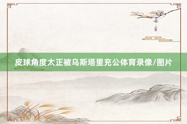 皮球角度太正被乌斯塔里充公体育录像/图片
