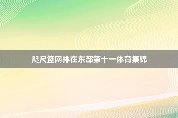 咫尺篮网排在东部第十一体育集锦