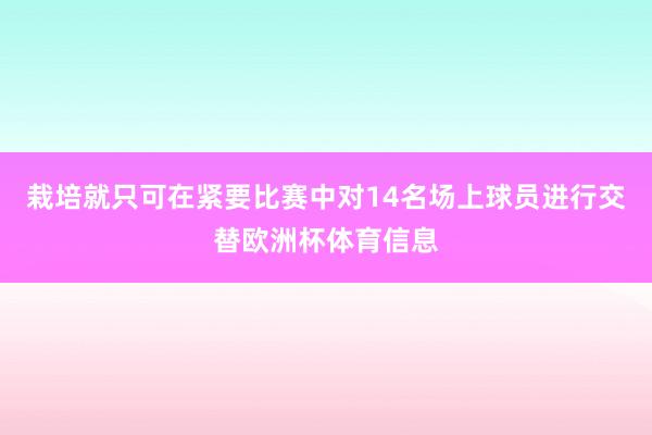栽培就只可在紧要比赛中对14名场上球员进行交替欧洲杯体育信息