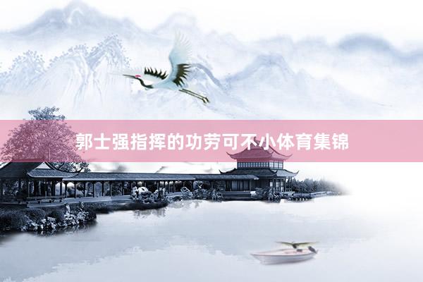 郭士强指挥的功劳可不小体育集锦