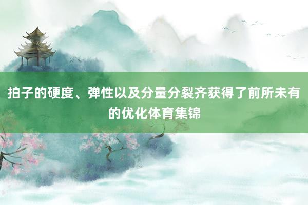 拍子的硬度、弹性以及分量分裂齐获得了前所未有的优化体育集锦