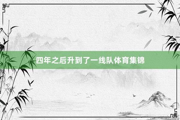 四年之后升到了一线队体育集锦
