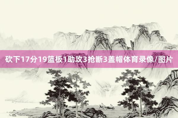 砍下17分19篮板1助攻3抢断3盖帽体育录像/图片