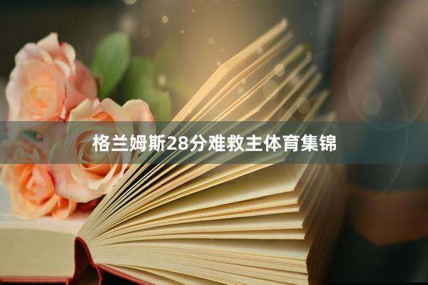 格兰姆斯28分难救主体育集锦