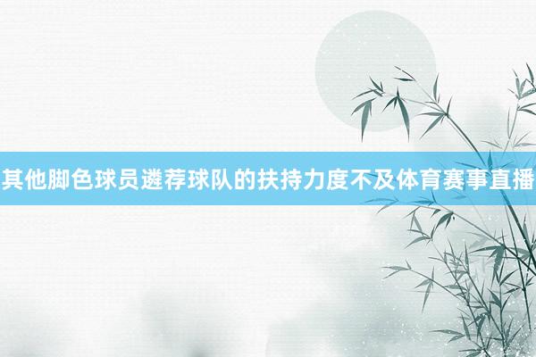 其他脚色球员遴荐球队的扶持力度不及体育赛事直播
