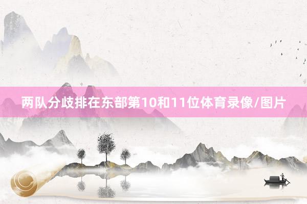 两队分歧排在东部第10和11位体育录像/图片
