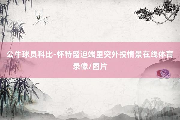 公牛球员科比-怀特蹙迫端里突外投情景在线体育录像/图片