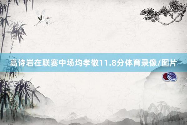 高诗岩在联赛中场均孝敬11.8分体育录像/图片