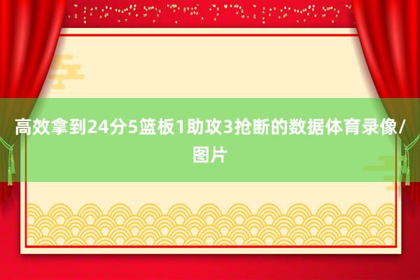 高效拿到24分5篮板1助攻3抢断的数据体育录像/图片