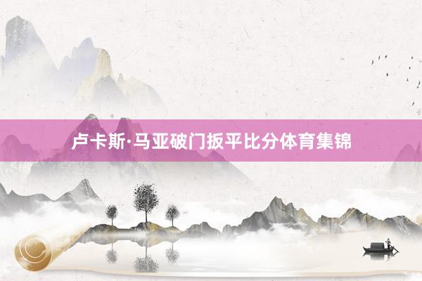 卢卡斯·马亚破门扳平比分体育集锦