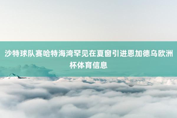 沙特球队赛哈特海湾罕见在夏窗引进恩加德乌欧洲杯体育信息