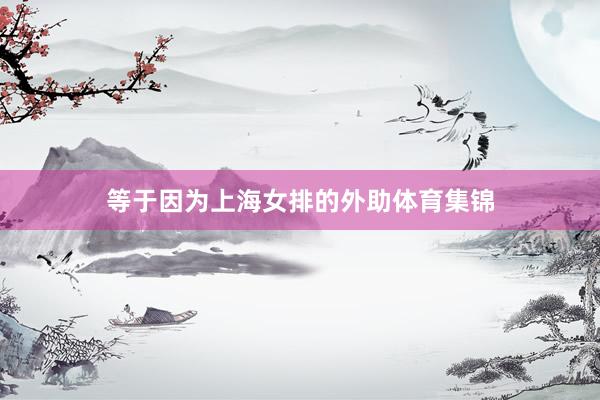 等于因为上海女排的外助体育集锦