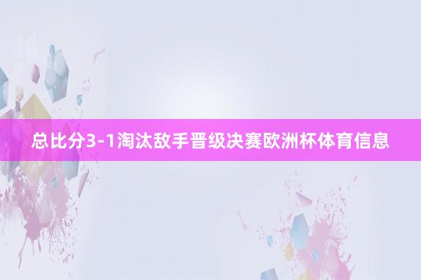 总比分3-1淘汰敌手晋级决赛欧洲杯体育信息