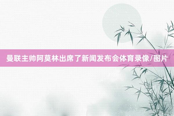 曼联主帅阿莫林出席了新闻发布会体育录像/图片