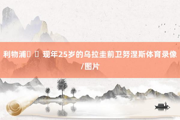 利物浦❤️现年25岁的乌拉圭前卫努涅斯体育录像/图片