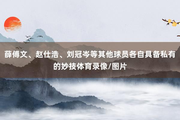 薛傅文、赵仕浩、刘冠岑等其他球员各自具备私有的妙技体育录像/图片