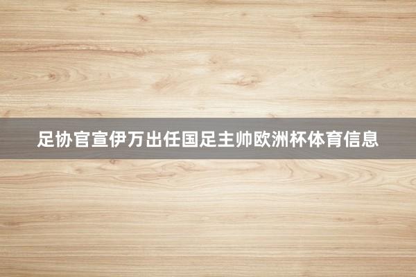 足协官宣伊万出任国足主帅欧洲杯体育信息