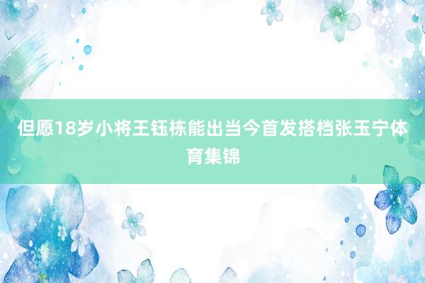 但愿18岁小将王钰栋能出当今首发搭档张玉宁体育集锦