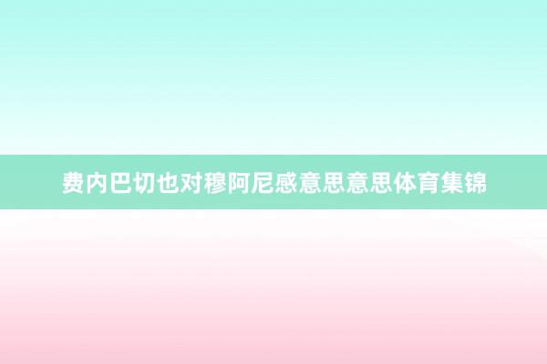 费内巴切也对穆阿尼感意思意思体育集锦