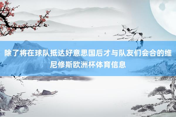 除了将在球队抵达好意思国后才与队友们会合的维尼修斯欧洲杯体育信息