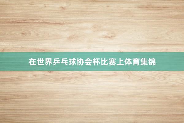 在世界乒乓球协会杯比赛上体育集锦