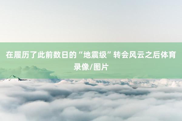 在履历了此前数日的“地震级”转会风云之后体育录像/图片