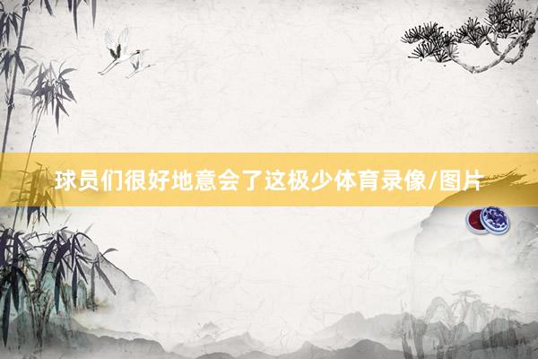 球员们很好地意会了这极少体育录像/图片