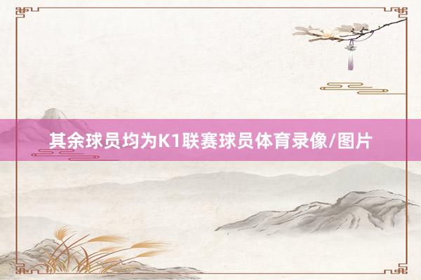 其余球员均为K1联赛球员体育录像/图片