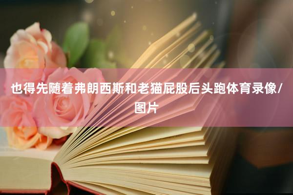也得先随着弗朗西斯和老猫屁股后头跑体育录像/图片